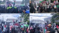 Bela Palestina Aksi Dukung Palestina