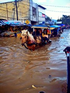 Banjir Bandung Selatan