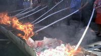 IMG01723-20130717-1036