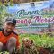 Bawang Merah