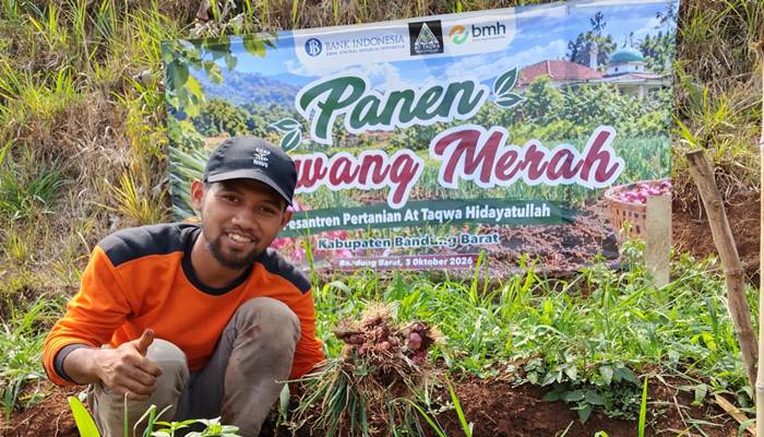 Bawang Merah